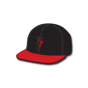 Eagles Acrobatics Snapback