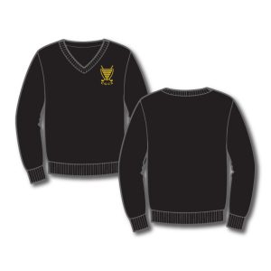 CGCS V Neck Sweater