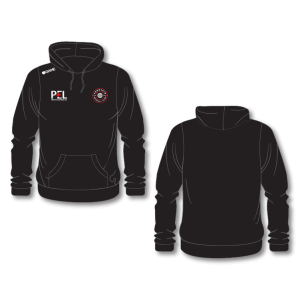 Fountain NC Adult Hoodie